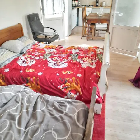 公寓 Confortable A 30 M² Avec Jardin